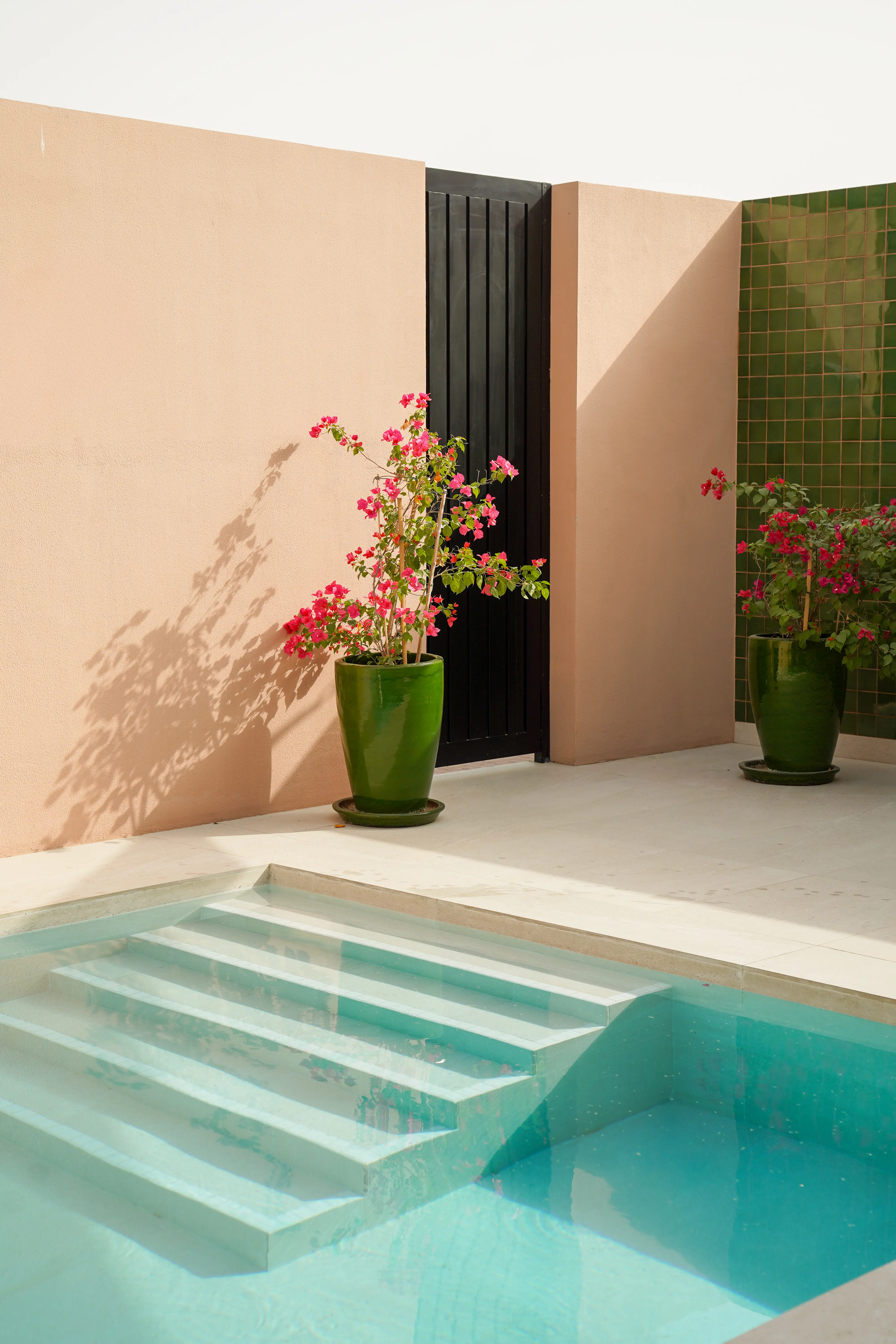 Wellness photo 13